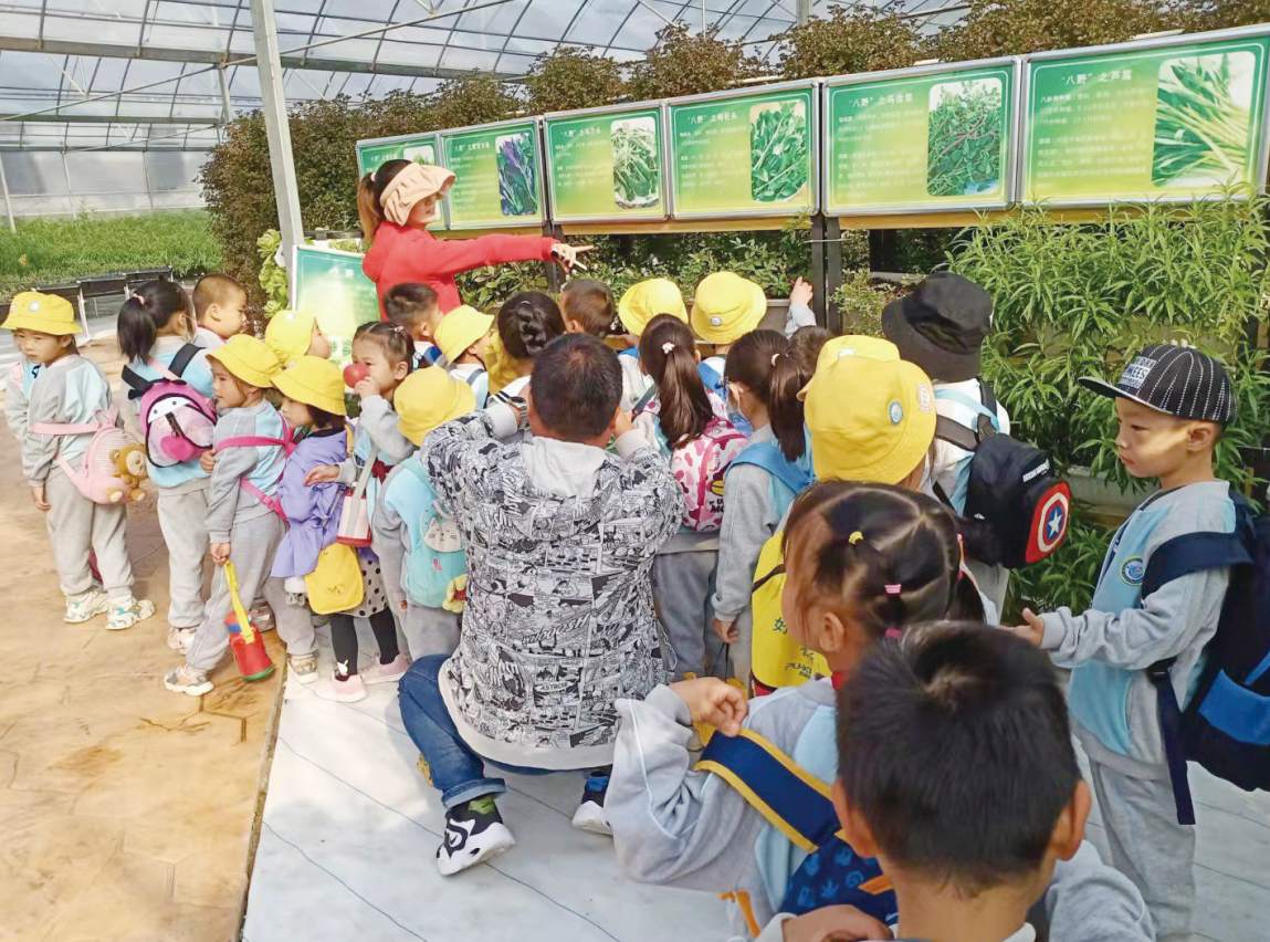 四川成立省级城市更新平台！50亿如何玩转市。