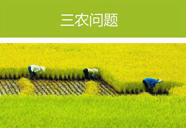 【2023“三农”成绩单】新气象撬动新发展