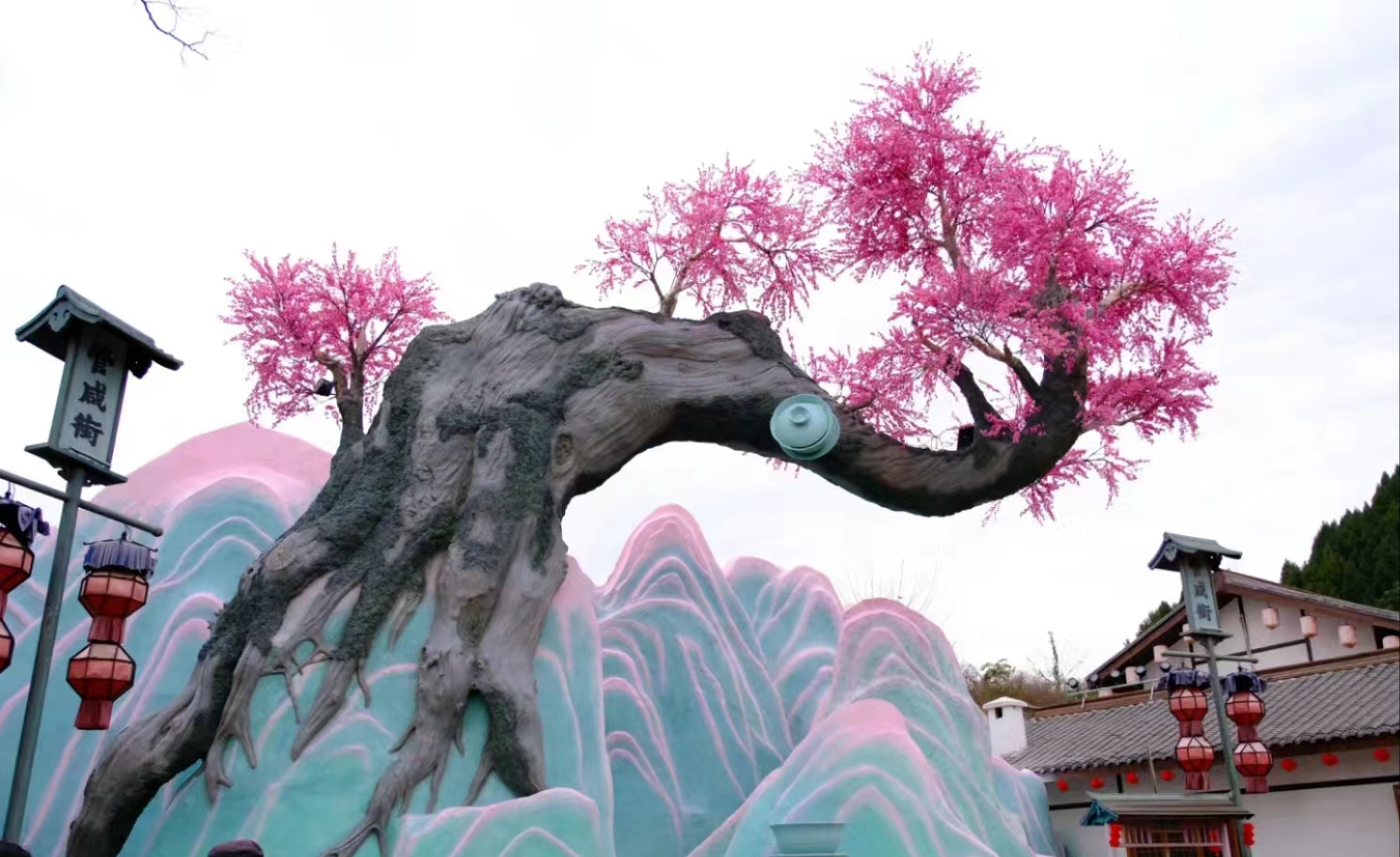 热度不断！我司重点乡村振兴项目被央视持续报道