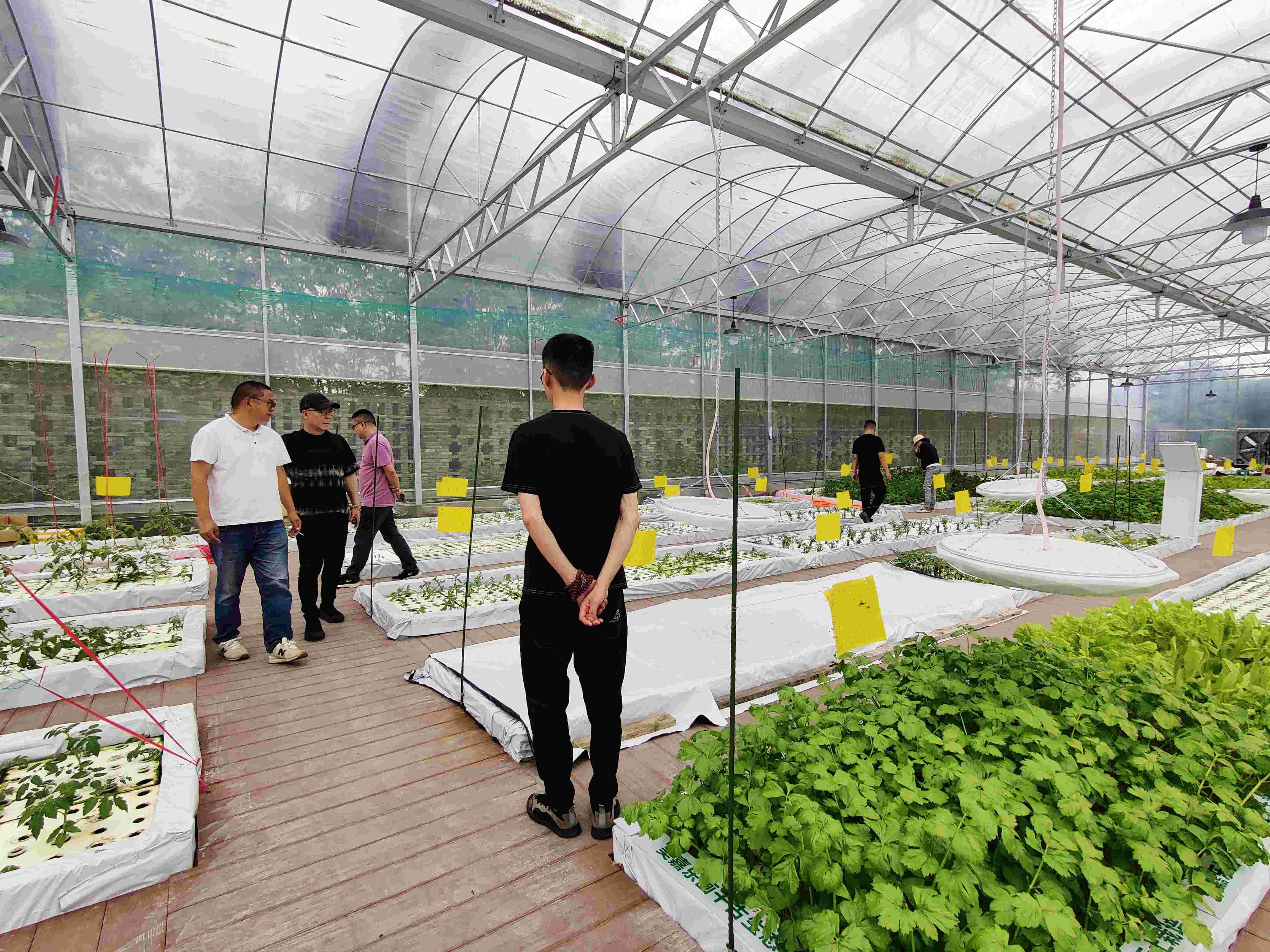毛总受邀前往参观生态农业示范区