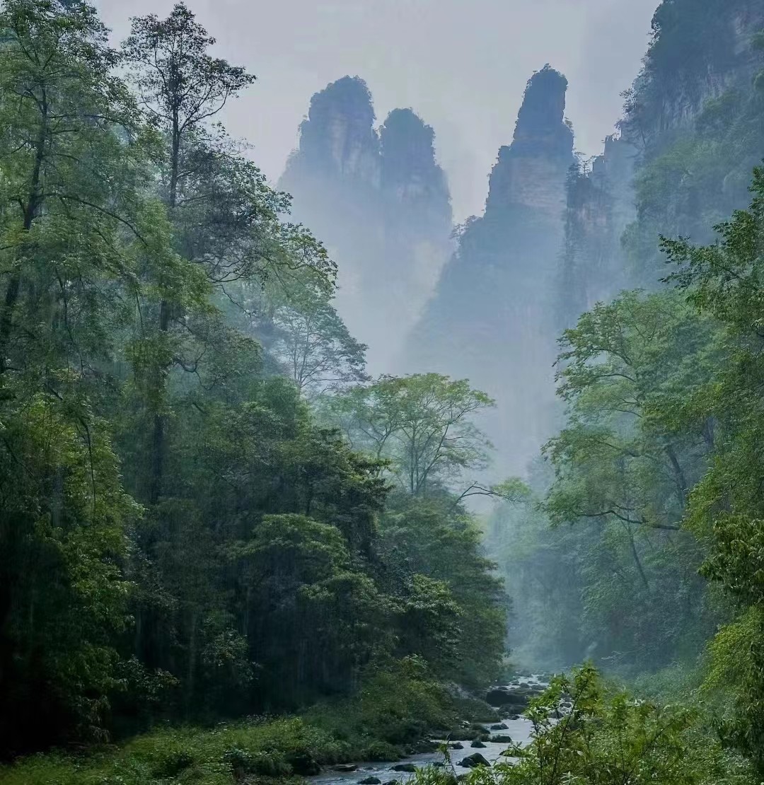 多家景区上市公司一季度财报公布，看报告体现了哪些信息