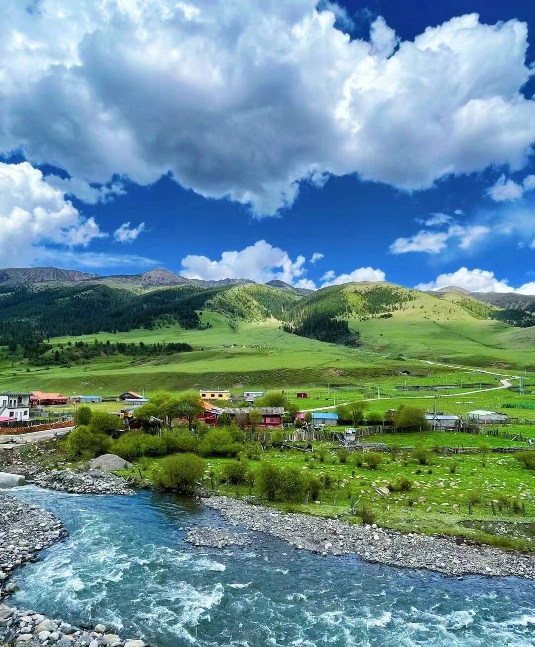 行业发布：2024暑期出游趋势预测