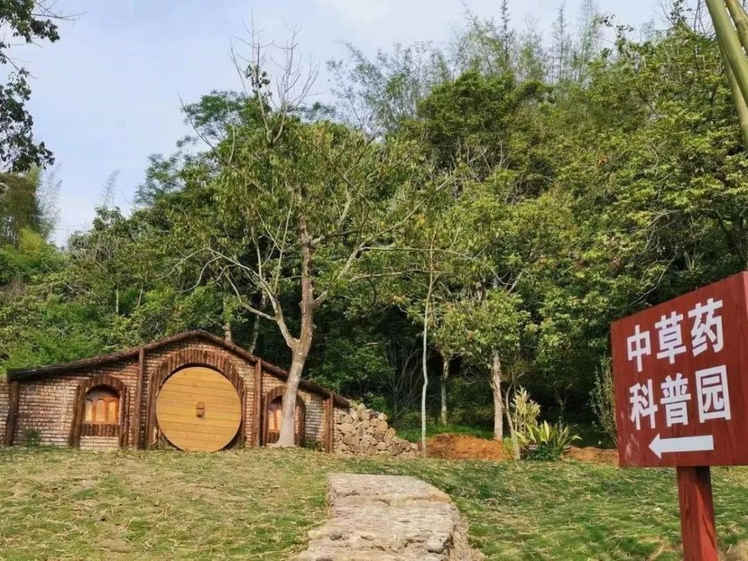 中医药康养助力乡村振兴：融合发展，开创未来