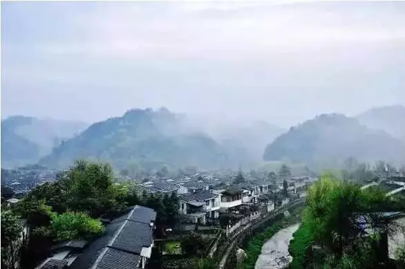 乡村振兴｜增加农民收入，乡村产业加把劲