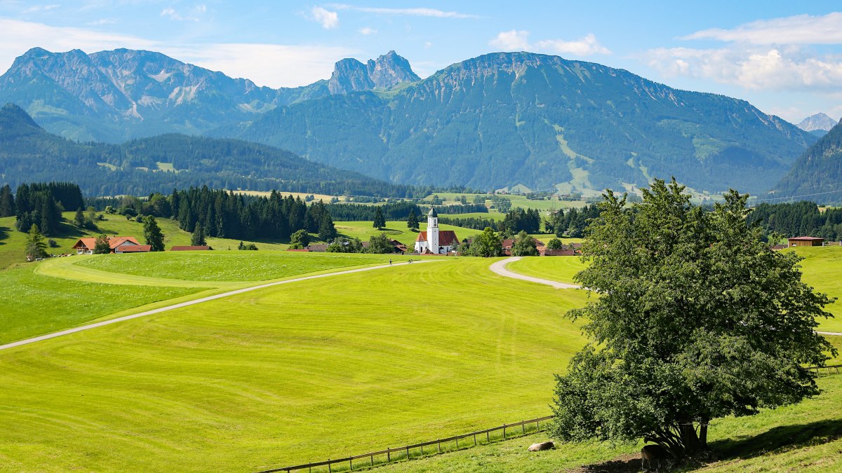 御业快讯|不朽情缘MG-中国官方网站迎河南登封市范家门考察团