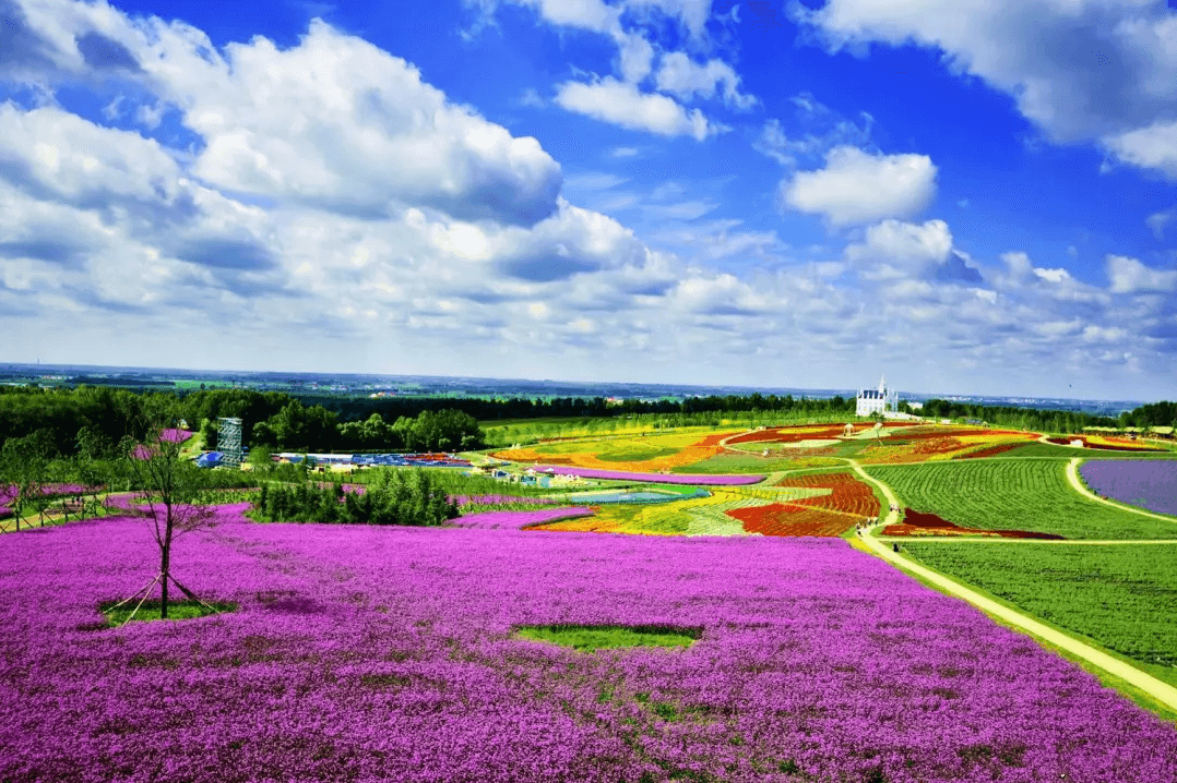 农业文旅产业迎来红利期，3大主题产品获国家大力支持|不朽情缘MG-中国官方网站